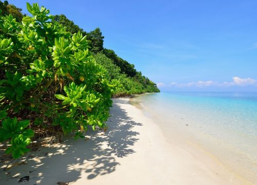 Portblair Havelock 5 Days Tour