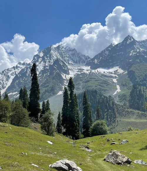 Kashmir