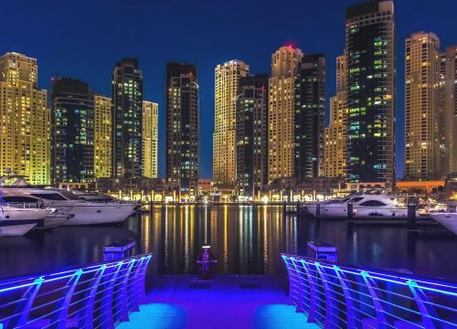 Dubai Globle Village Miracle Garden Tour