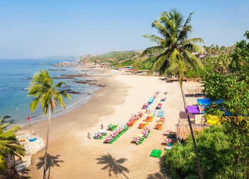 Best of Goa